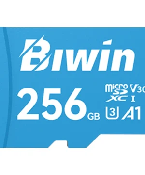 کارت حافظه microSDXC بیوین MS100 ظرفیت 256 گیگابایت